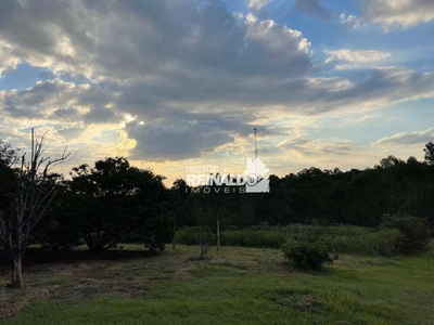 Sítio, 2 quartos, 5 hectares - Foto 3