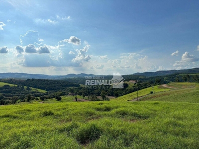 Fazenda-Sítio-Chácara, 20 hectares - Foto 2