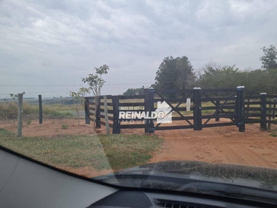 Fazenda-Sítio-Chácara, 147 hectares - Foto 2