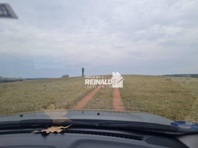 Fazenda-Sítio-Chácara, 147 hectares - Foto 3