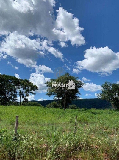 Fazenda-Sítio-Chácara, 1540 hectares - Foto 5