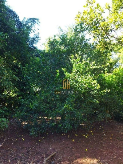 Chácara, 2000 m² - Foto 3