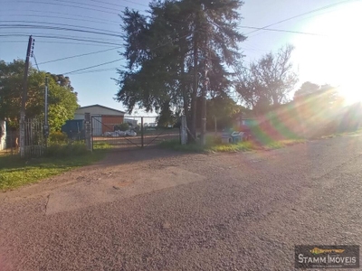 Depósito-Galpão - Foto 2