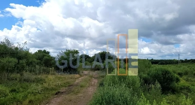 Fazenda, 1195 hectares - Foto 4