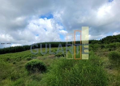 Fazenda-Sítio-Chácara, 1195 hectares - Foto 1