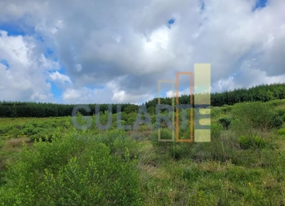 Fazenda, 1195 hectares - Foto 5