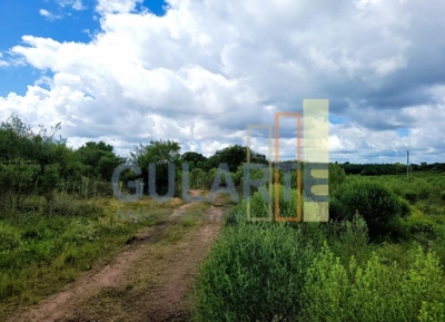 Fazenda-Sítio-Chácara, 1195 hectares - Foto 2