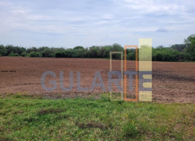 Fazenda-Sítio-Chácara, 8 hectares - Foto 4