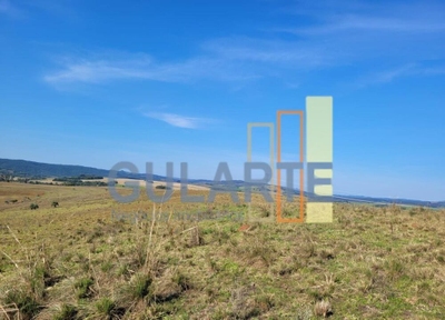 Fazenda-Sítio-Chácara, 686 hectares - Foto 2