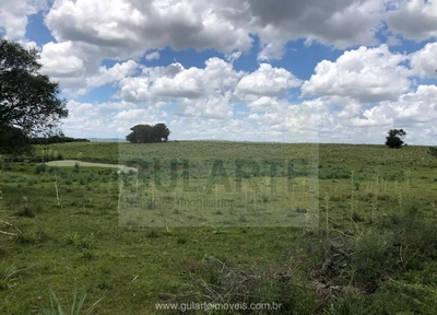 Fazenda, 1710 hectares - Foto 5