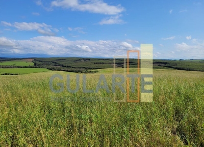 Fazenda-Sítio-Chácara, 186 hectares - Foto 2