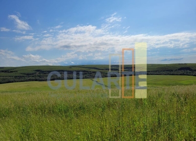 Fazenda-Sítio-Chácara, 186 hectares - Foto 5