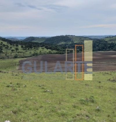 Fazenda-Sítio-Chácara, 58 hectares - Foto 2