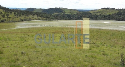 Fazenda-Sítio-Chácara, 58 hectares - Foto 1