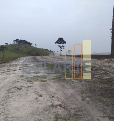 Fazenda-Sítio-Chácara, 58 hectares - Foto 3