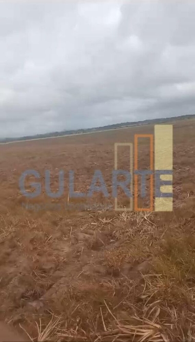 Fazenda-Sítio-Chácara, 293 hectares - Foto 1