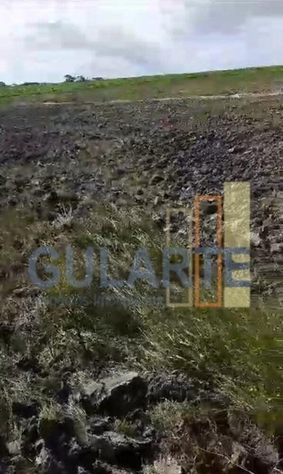 Fazenda-Sítio-Chácara, 293 hectares - Foto 3