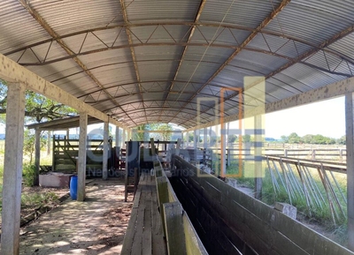 Fazenda-Sítio-Chácara, 640 hectares - Foto 3