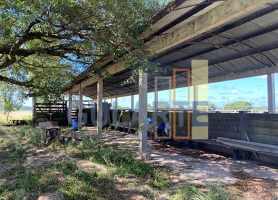 Fazenda-Sítio-Chácara, 640 hectares - Foto 4