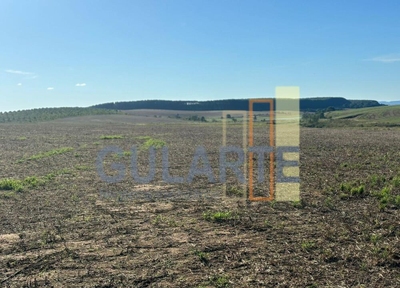 Fazenda-Sítio-Chácara, 244 hectares - Foto 3