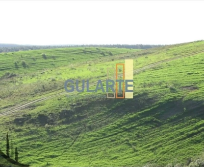 Fazenda, 449 hectares - Foto 2