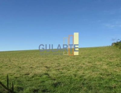 Fazenda, 449 hectares - Foto 5