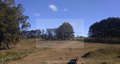 Fazenda-Sítio-Chácara, 1503 hectares - Foto 3