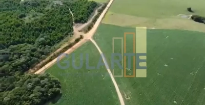 Fazenda, 190 hectares - Foto 4