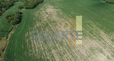 Fazenda, 190 hectares - Foto 3