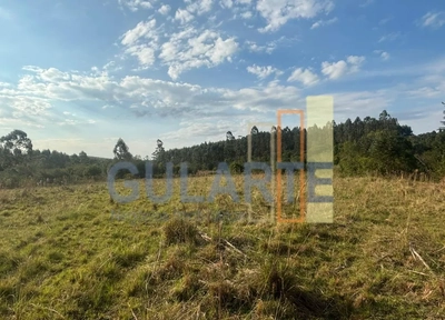 Fazenda, 903 hectares - Foto 5