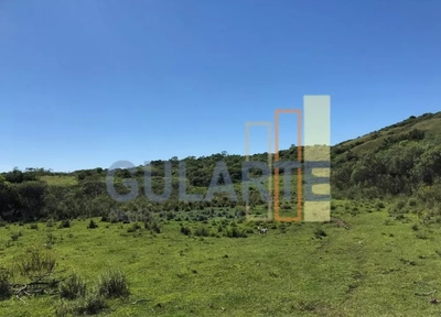 Fazenda, 903 hectares - Foto 3