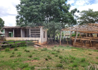 Fazenda-Sítio-Chácara, 3 hectares - Foto 4