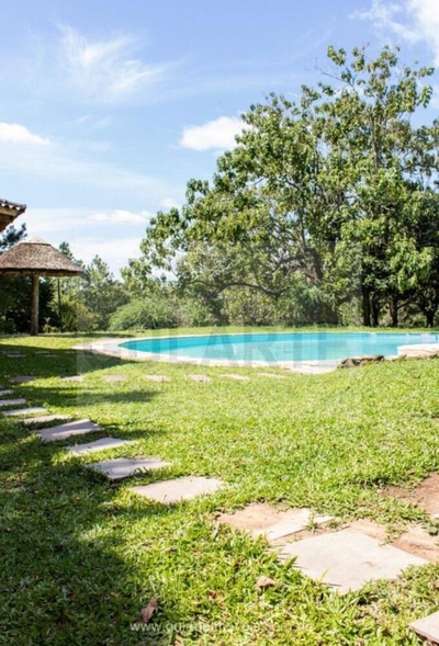 Fazenda-Sítio-Chácara, 30 hectares - Foto 4