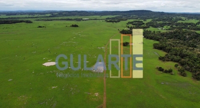 Fazenda-Sítio-Chácara, 2000 hectares - Foto 1