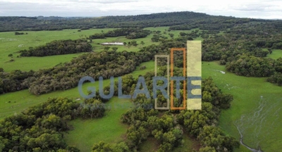 Fazenda-Sítio-Chácara, 2000 hectares - Foto 3