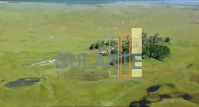 Fazenda-Sítio-Chácara, 611 hectares - Foto 3