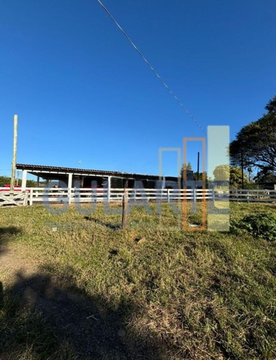 Fazenda-Sítio-Chácara, 90 hectares - Foto 2