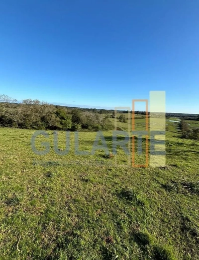 Fazenda, 90 hectares - Foto 3