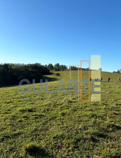 Fazenda-Sítio-Chácara, 90 hectares - Foto 1
