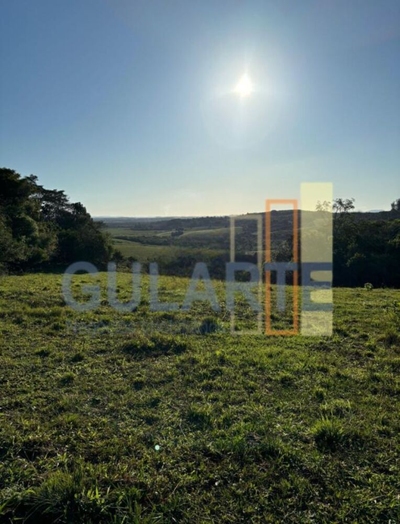 Fazenda-Sítio-Chácara, 90 hectares - Foto 3