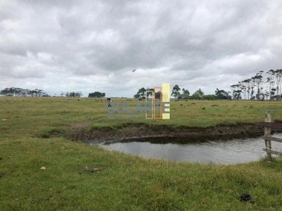 Fazenda-Sítio-Chácara, 1450 hectares - Foto 1