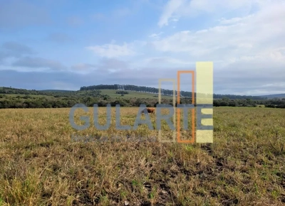 Fazenda, 511 hectares - Foto 3