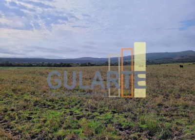 Fazenda-Sítio-Chácara, 511 hectares - Foto 1