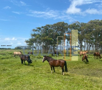 Fazenda-Sítio-Chácara, 1079 hectares - Foto 4