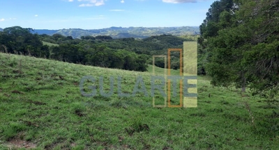 Fazenda-Sítio-Chácara, 814 hectares - Foto 2