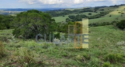 Fazenda-Sítio-Chácara, 814 hectares - Foto 4
