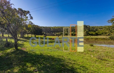 Fazenda-Sítio-Chácara, 18 hectares - Foto 2