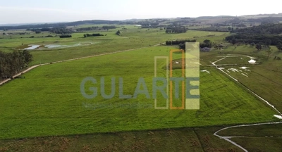 Fazenda-Sítio-Chácara, 310 hectares - Foto 4