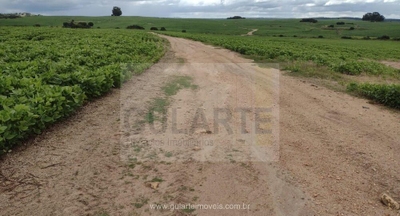 Fazenda-Sítio-Chácara, 875 hectares - Foto 2