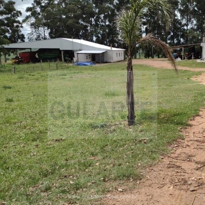 Fazenda-Sítio-Chácara, 875 hectares - Foto 4